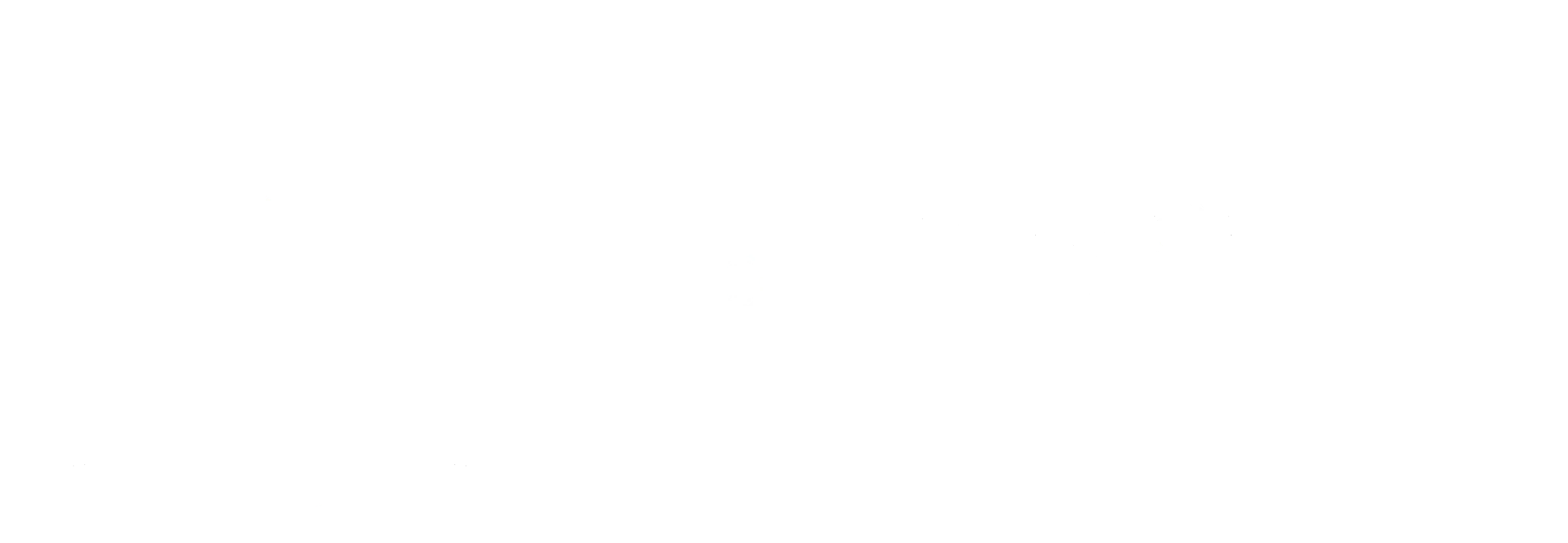 hsqdlogohoriwhite